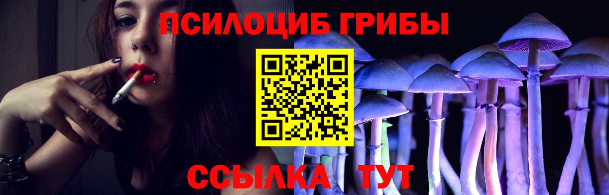 Галлюциногенные грибы MAGIC MUSHROOMS Волгодонск